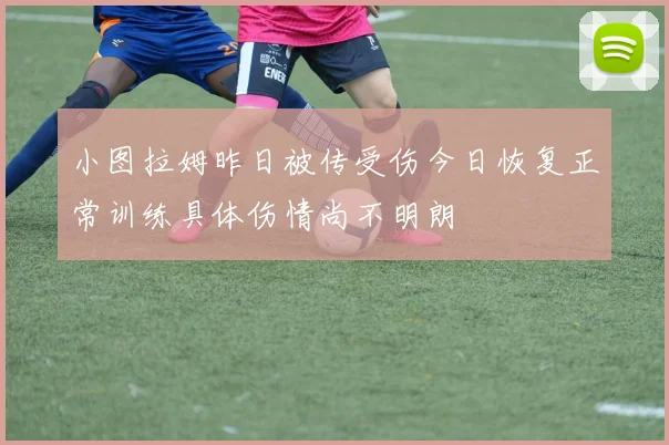小图拉姆昨日被传受伤今日恢复正常训练具体伤情尚不明朗