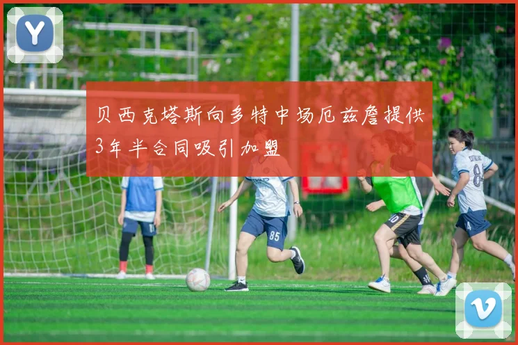 贝西克塔斯向多特中场厄兹詹提供3年半合同吸引加盟