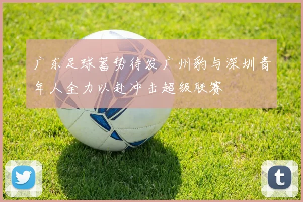 广东足球蓄势待发广州豹与深圳青年人全力以赴冲击超级联赛